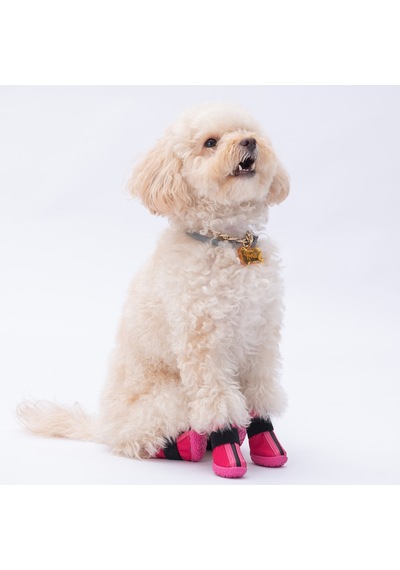 Pawstar Fuşya Köpek Ayakkabısı