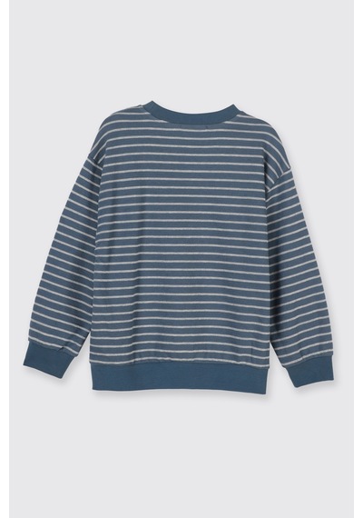 Panço Erkek Çocuk Çizgi Desenli Petrol Sweatshirt Mavi