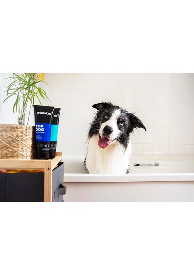 Animology Top Dog Conditioner Köpek Tüy Kremi 250 Ml