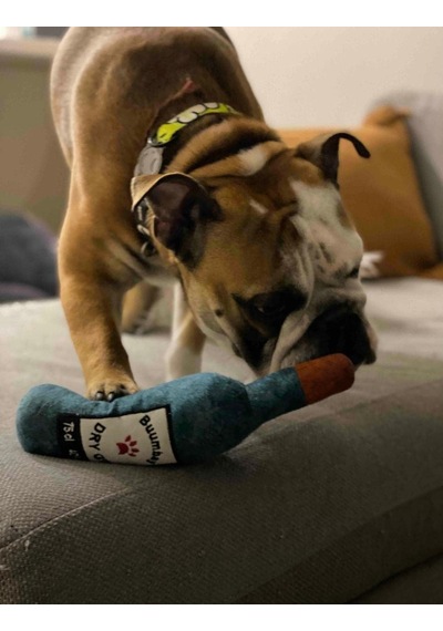 Bottle Toy, Köpek Oyuncağı, Kedi Oyuncağı, Peluş Oyuncak Beyaz