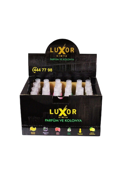 Luxor 24 Adet 50 ML Ev & Oto Koku Seti Özel Kutulu