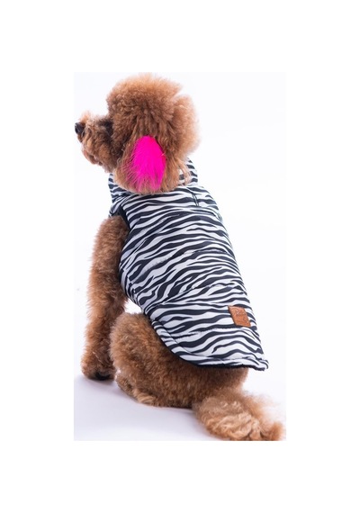 Lodwar Street Zebra Desen Yelek Köpek Yeleği Köpek Kıyafeti Köpek Yağmurluk