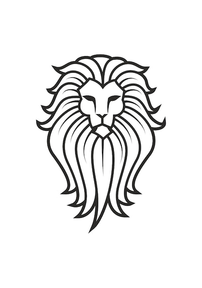 Aslan 9 Folyo Sticker 160cm Uzunluk Siyah