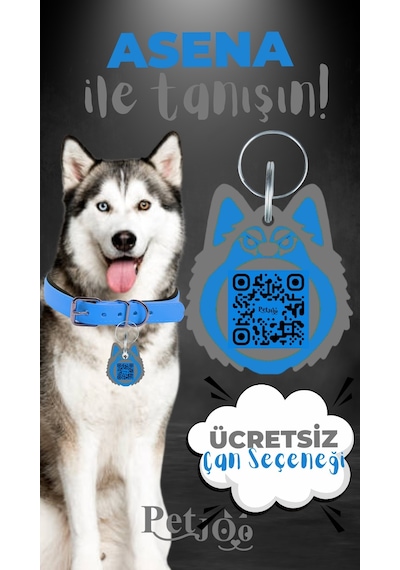 Petjoo 25.Asena Gri-Mavi Qr'lı Köpek Künyesi