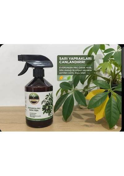 Evergreen Pro Yeşil Bitkiler İçin Organomineral Besin Çözeltisi 500 ML