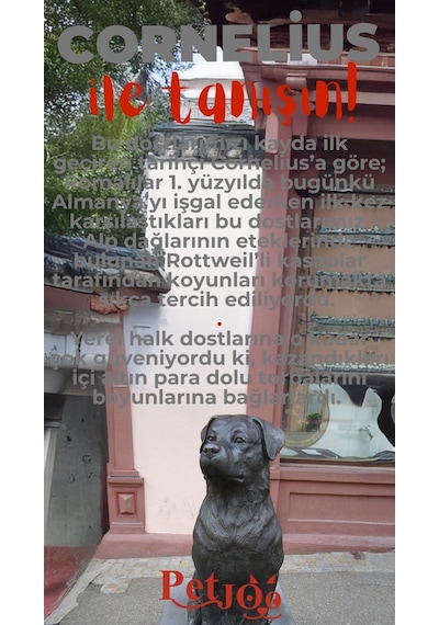 Petjoo 20.Cornelius Kırmızı-Gri Qr'lı Köpek Künyesi