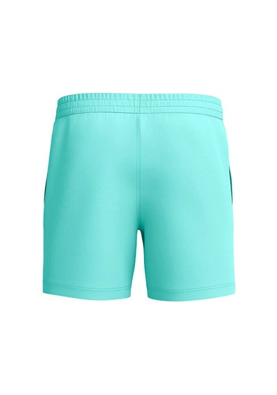 Speedo Essentials 16" Watershort Am Blue Erkek Yüzücü Mayosu 8-1243316243 Mavi Mavi