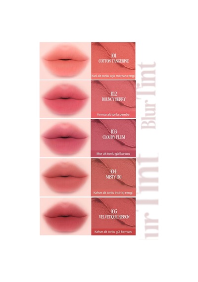 Blur Efektiyle Dolgun Görünüm Sunan Kadife Bitişli Tint Volumate Blur Tint 111 Antique Red Plum