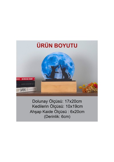 Led Işıklı Pleksi Dolunay Kişiselleştirilebilir Dekoratif Biblo Harvey Kediler Anahtar Askılığı Mavi - 737322722 Mavi