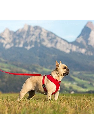 Pro Plan Small&mini Yetişkin Küçük Irk Köpek Sı Somonlu 7kg 100 G