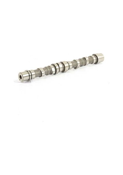 Eksantrik Mili - Fiat Linea, 500, Panda, Grande Punto, Punto, Doblo, Fiorino, Qubo, Idea, Mito - Bsg-25108001
