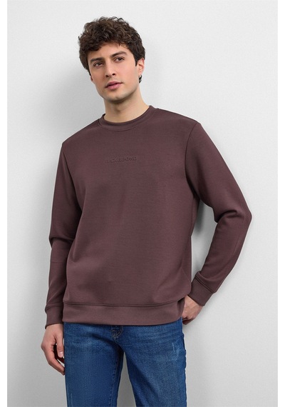Backandbond Kahve Regular Fit Bisiklet Yaka Sweatshirt