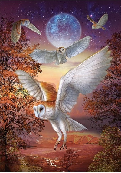 Art Puzzle Ayışığı Baykuşları
