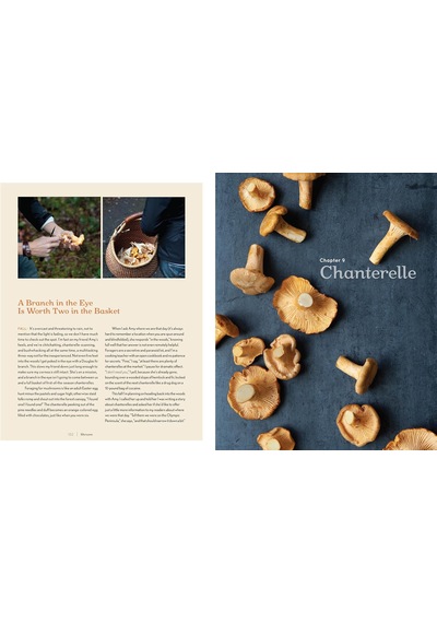 Shroom: Mind-bendingly Good Recipes For Cultivated And Wild Mushrooms