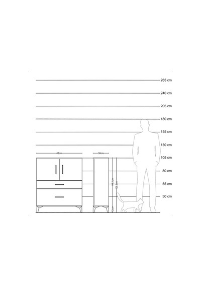 Arges Şifonyer 2 Raflı 2 Çekmeceli 2 Kapaklı 88x30x106 Çam-çam Çam