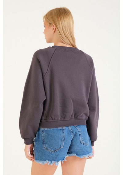 Giyim Dünyası Kadın 3 İp Şardonlu Sıfır Yaka Oversize Sweatshirt Füme 001