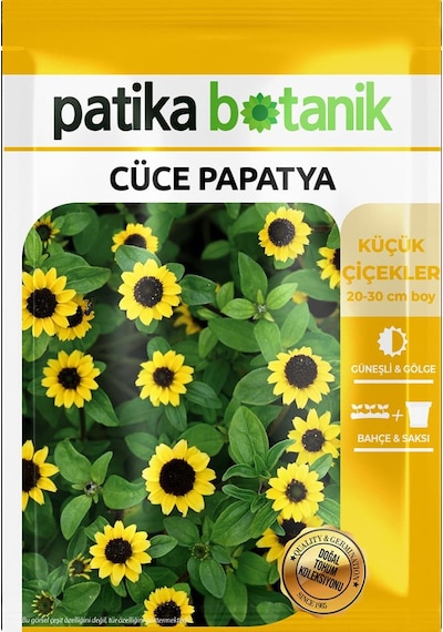 100 Adet Cüce Papatya Çiçek Tohumu