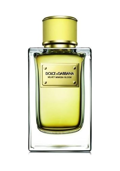 Dolce&Gabbana Velvet Mimosa Bloom Kadın Parfüm EDP 150 ML