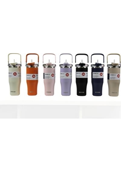 Dodge Çelik Matara 900 Ml Çok renkli