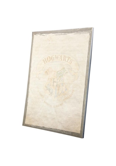 Notepad Harry Potter Özel Tasarım Lisanslı 12 X 17 Cm Çok Renkli