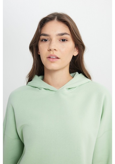 Loose Fit Rahat Kesim Kapüşonlu İçi Polarlı Gri Sweatshirt W242706032 Açık Gri