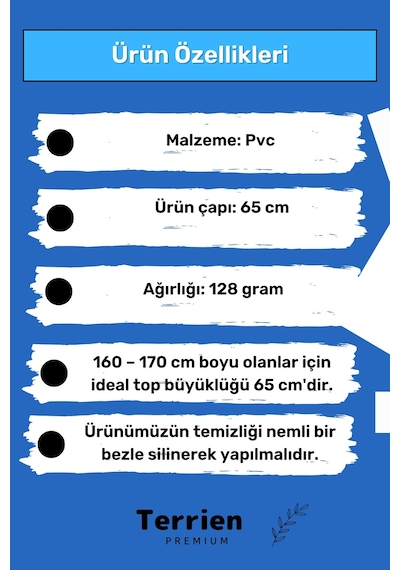 Terrien Deluxe Seri Pilates Yoga Egzersiz Topu 65 Cm Pompa Hediyeli Fitilli Kalın Yüksek Kalite Dayanıklı