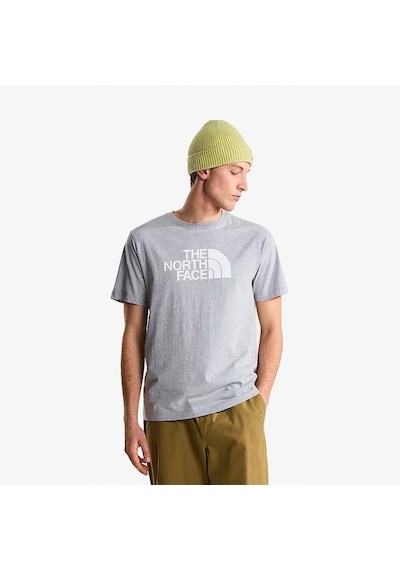 The North Face Evolution Half Dome Erkek Gri Tişört