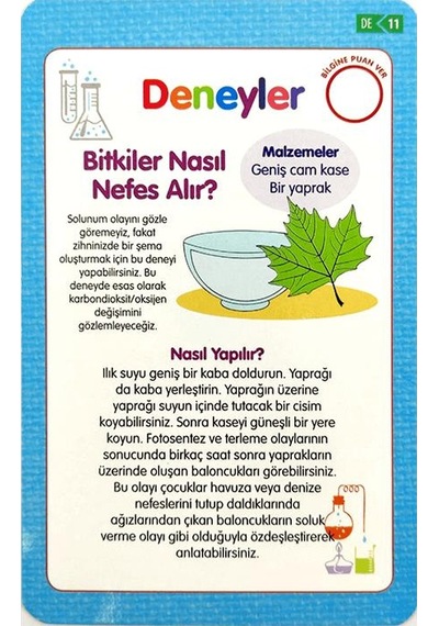 Deneyler Eğitici Oyun Kartları - Etkinlik Kartları