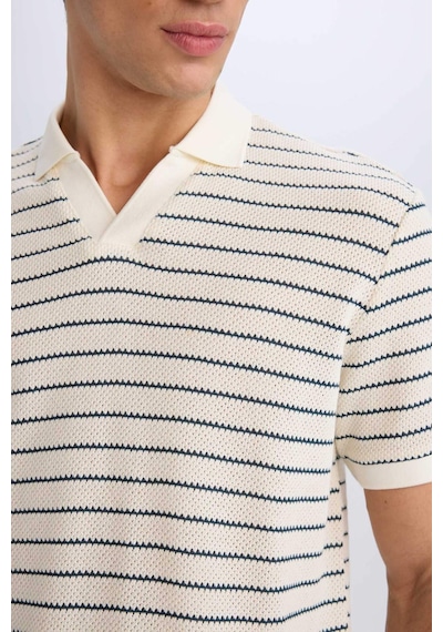 DeFacto Regular Fit Polo Yaka Çizgili Triko Kısa Kollu Tişört C4150AX25SMIN250