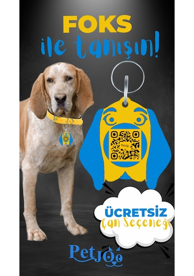 Petjoo 29.Foks Mavi-Sarı Qr'lı Köpek Künyesi