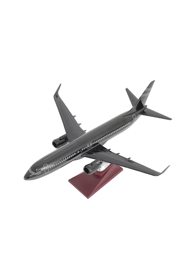 Zekupp Boeing 737-800 1/100 Ölçek Çizgi Detaylı Siyah Tasarımlı Model Uçak