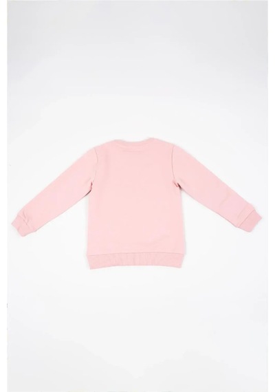 Adisia Kız Bebek Pembe Uzun Kollu Pamuklu Nakış Detaylı Sweatshirt