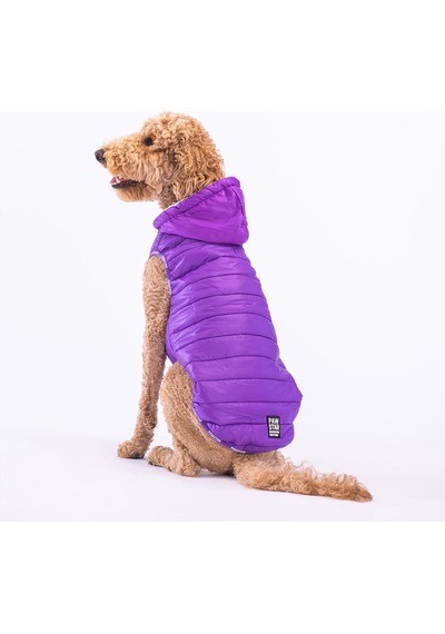 Pawstar Mor Railway Orta ve Büyük Irklar İçin Anorak Köpek Yeleği