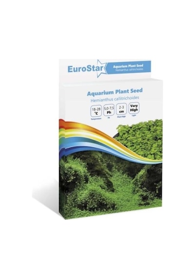 Eurostar Bitki  Tohumu  Hemianthus Callitrichoides