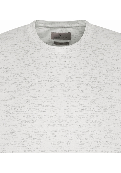 AC&Co / Altınyıldız Classics Erkek Grı Slim Fit Dar Kesim Bisiklet Yaka Pamuklu Kısa Kollu Tişört Gri AC&Co / Altınyıldız Classics Erkek Grı Slim Fit Dar Kesim Bisiklet Yaka Pamuklu Kısa Kollu Tişört Gri