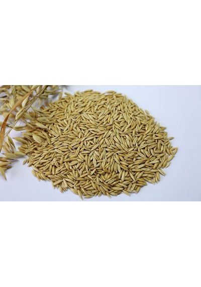 Gold Wings Yulaf Kuş Yemi 300 Gr