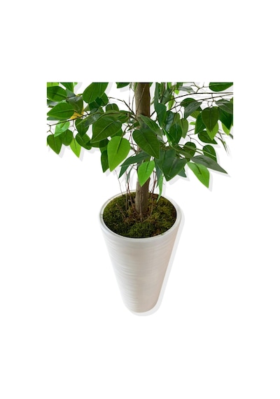 Cihan Çiçekçilik Yapay Ağaç Limon Ağacı 170 Cm 56x30x20 Beyaz Kumsal Saksı Yeşil
