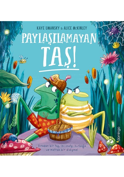 Paylaşılamayan Taş