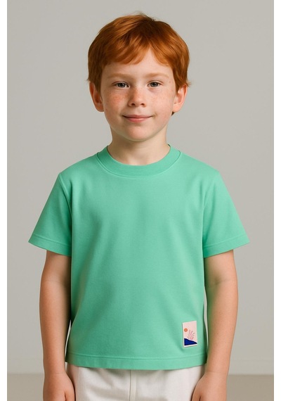 Luess Unisex Çocuk %100 Pamuklu Basic Tişört - Mint 3-4 Yaş 8-9 Yaş Mint Yeşil Luess Unisex Çocuk %100 Pamuklu Basic Tişört - Mint 3-4 Yaş 8-9 Yaş Mint Yeşil