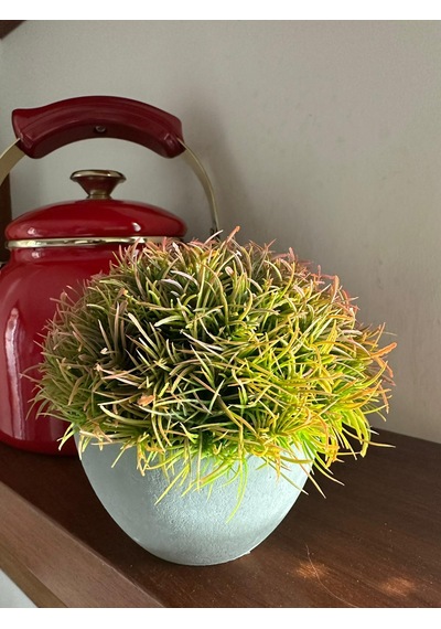 Premium Yapay Saksılı Çim Bitki - Dekoratif Ev Ofis Aksesuarı 13x16 Cm Bej