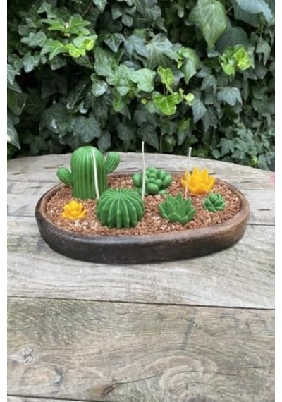 Saguaro Kaktüs Mum Kalıbı Silikon 50 x 22