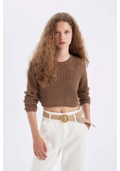 Defacto Regular Fit Bisiklet Yaka Kroşe Ajurlu Delikli Crop Triko Kazak T4513AZ24AUBG111 Bej
