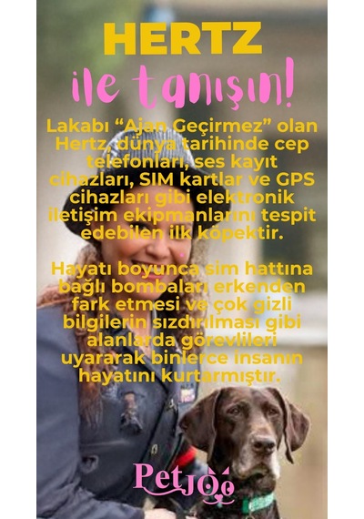 Petjoo 26.Hertz Pembe-Sarı Qr'lı Köpek Künyesi