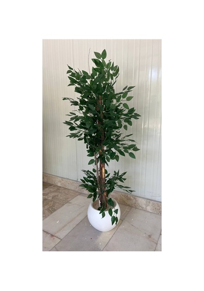 120 Cm Yapay Benjamin Beyaz Küre Dekoratif Ağaç