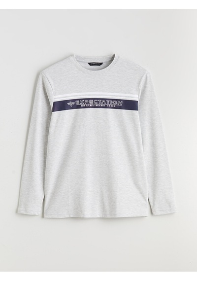 LC Waikiki Lc Waıkıkı Bej Bisiklet Yaka Baskılı Erkek Sweatshirt