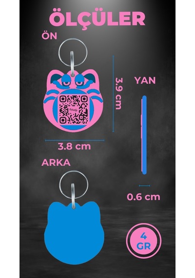 Petjoo 5.Jane Martinke Mavi-Pembe Qr'lı Kedi Künyesi