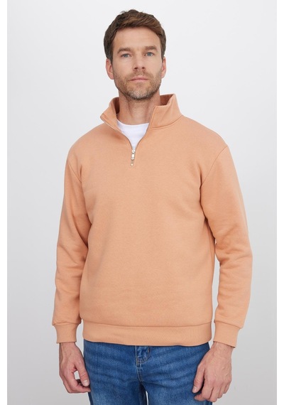 Tudors Unisex Relax Fit Rahat Kesim Pamuklu İçi Polarlı Yarım Fermuarlı Yavruağzı Dik Yaka Sweatshirt-35160 Çok Renkli