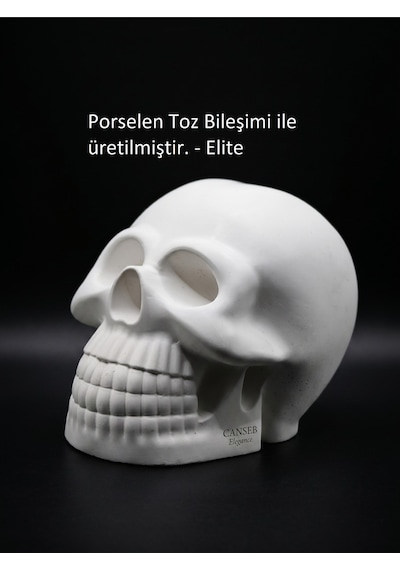 10cm Kuru Kafa Heykeli - Dekoratif Obje Biblo 93099587