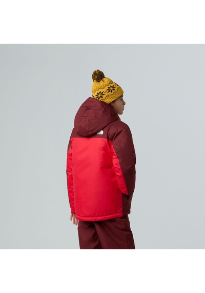The North Face B Freedom İzolasyonlu Genç Çocuk Ceket Nf0a88tzdı91 Çok Renkli