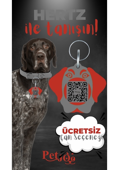Petjoo 26.Hertz Kırmızı-Gri Qr'lı Köpek Künyesi